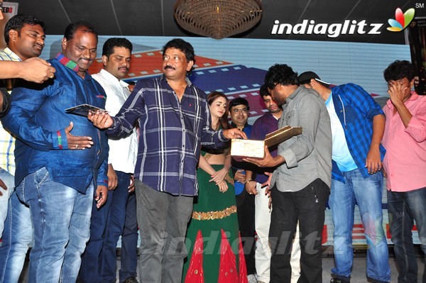 '365Days' Audio Launch Set-2