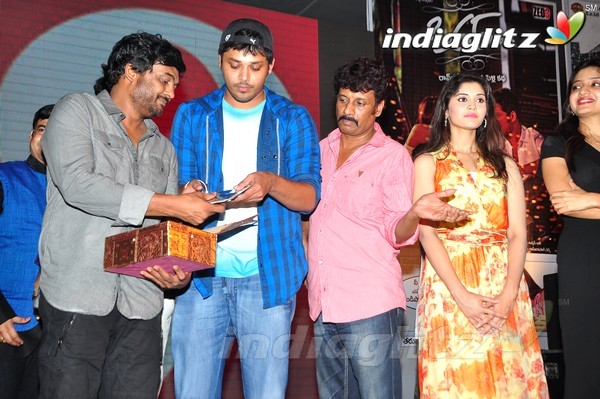 '365Days' Audio Launch Set-2