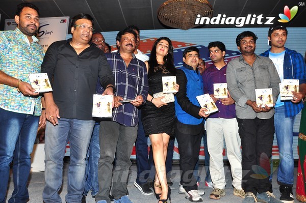 '365Days' Audio Launch Set-2