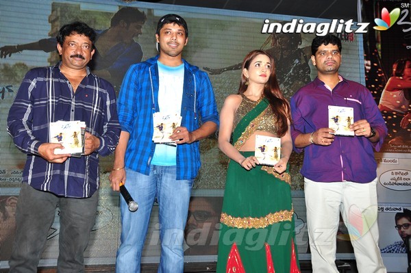 '365Days' Audio Launch Set-2