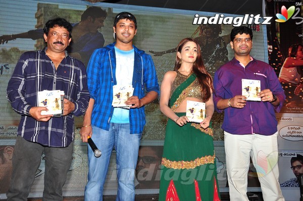 '365Days' Audio Launch Set-2