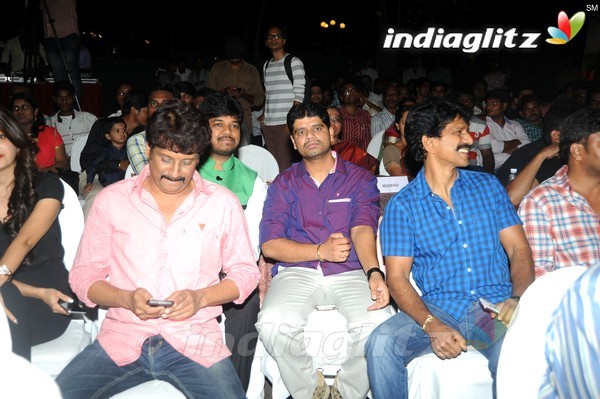 '365Days' Audio Launch Set-1