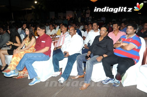 '365Days' Audio Launch Set-1