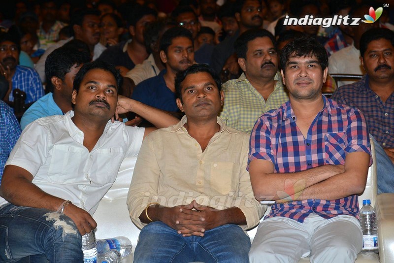 'A..Aa' Success Meet At Guntur (Set-1)