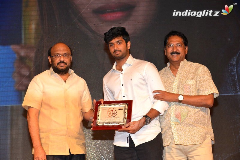 'A..Aa' Success Meet At Guntur (Set-1)