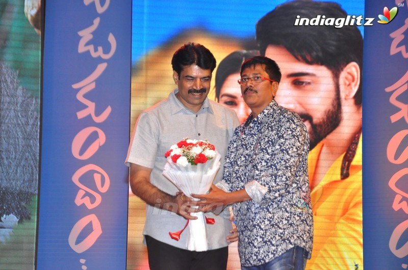 'Aatadukundam Raa' Audio Launch (Set-2)