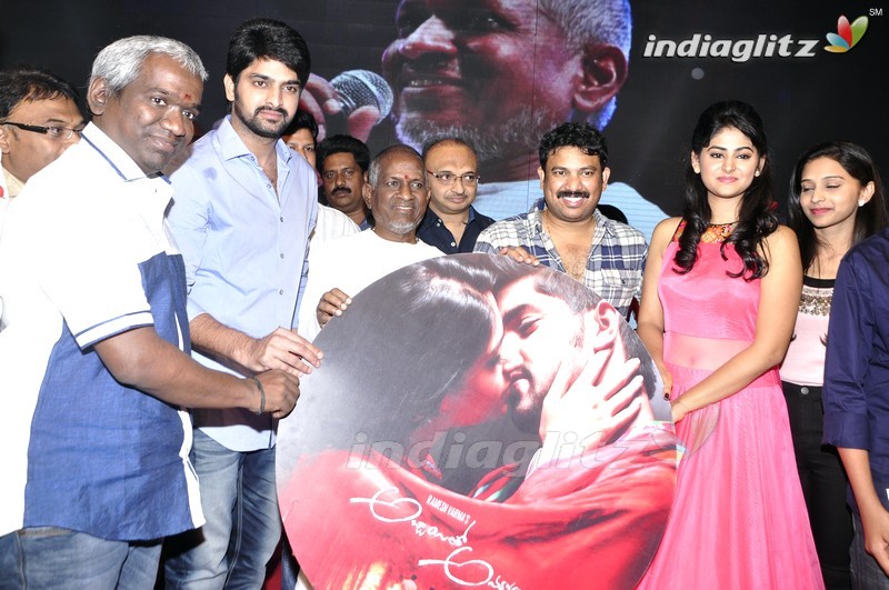 'Abbayitho Ammayi' Audio Launch