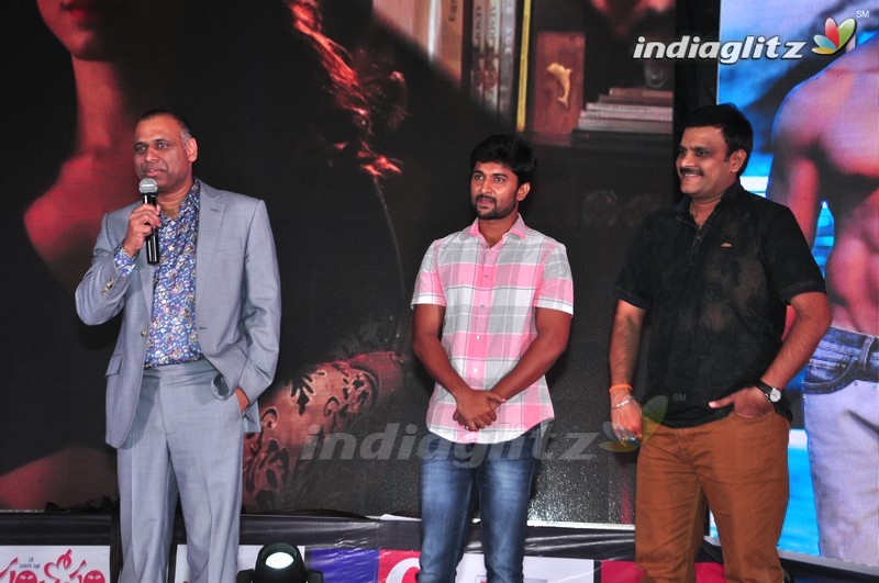 'Abhinetri' Audio Launch (Set-1)