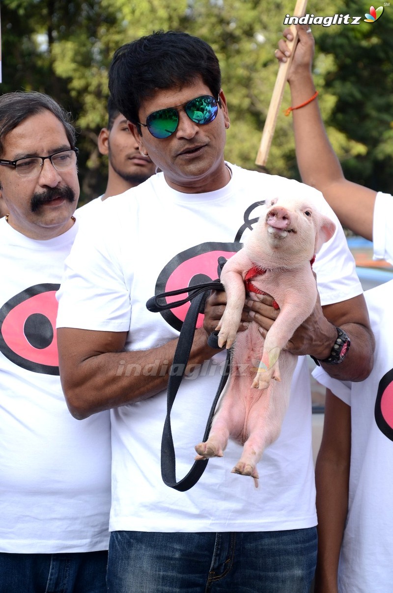 'Adhugo' Team Rallies With Piglet