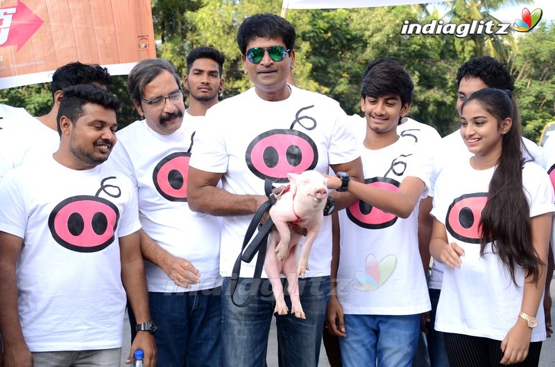 'Adhugo' Team Rallies With Piglet