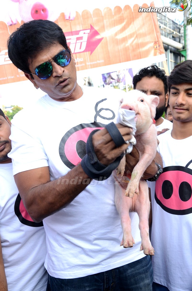 'Adhugo' Team Rallies With Piglet