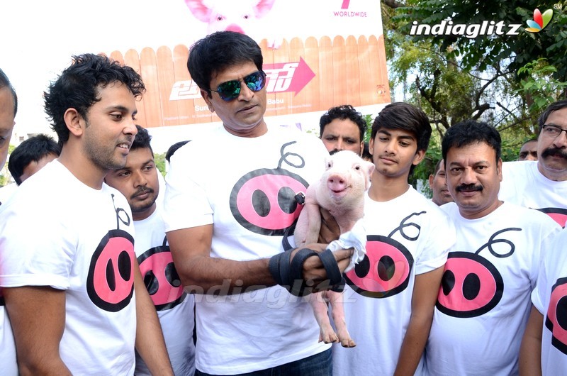 'Adhugo' Team Rallies With Piglet