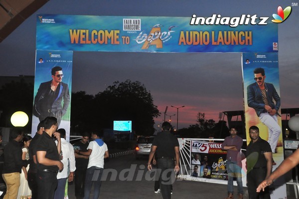 'Akhil' Audio Launch (Set-1)