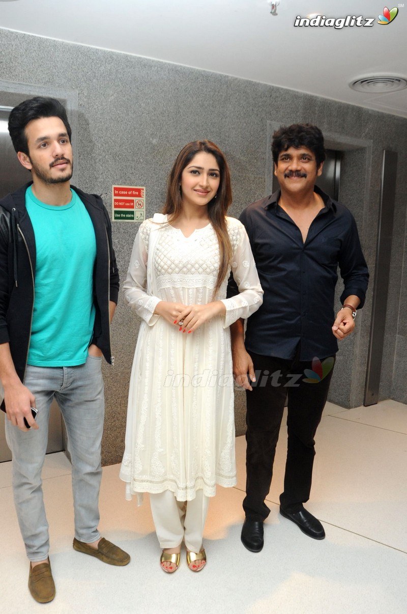 'Akhil' Success Meet