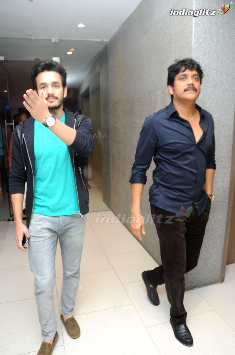 'Akhil' Success Meet