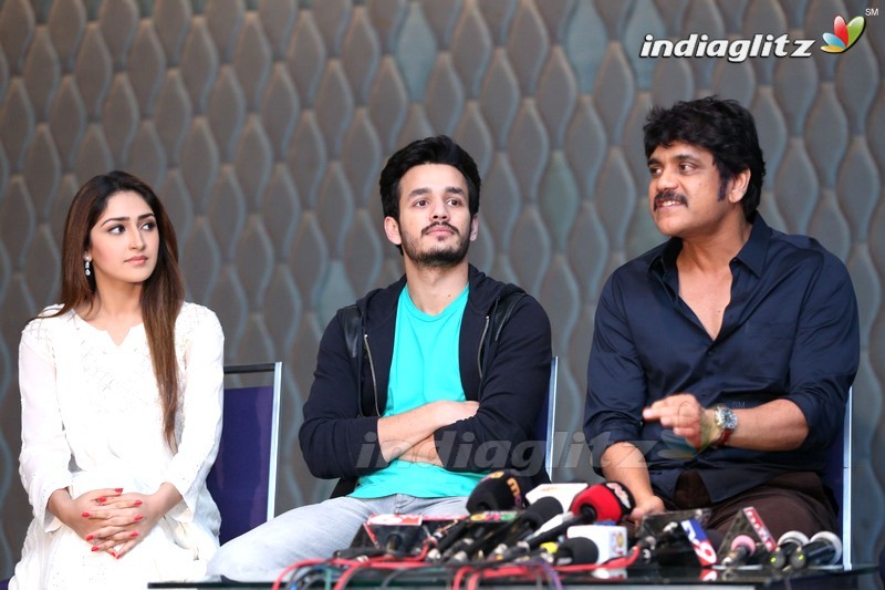 'Akhil' Success Meet