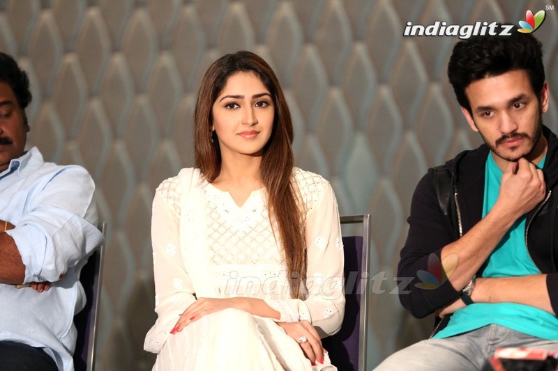 'Akhil' Success Meet