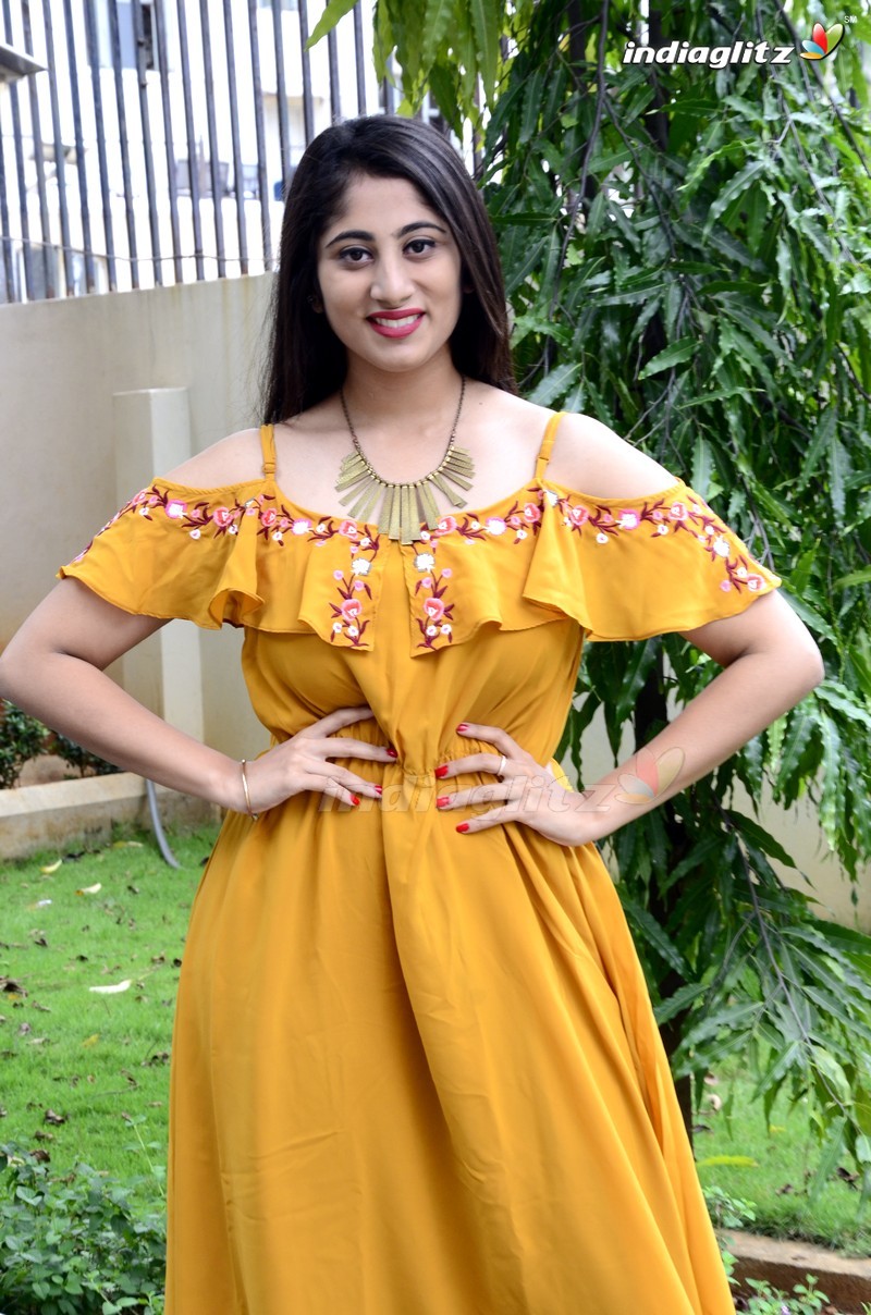 'Alanati Ramachandrudu' Press Meet