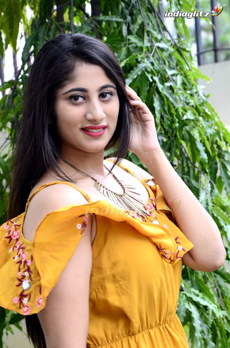 'Alanati Ramachandrudu' Press Meet