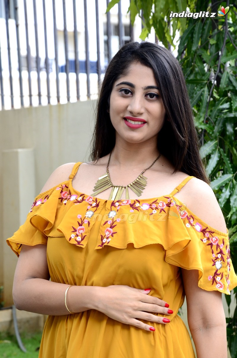 'Alanati Ramachandrudu' Press Meet