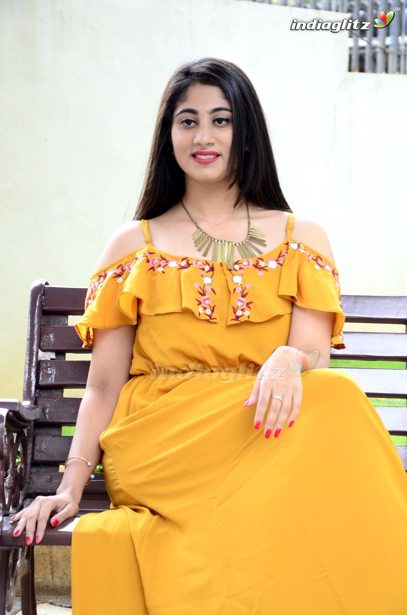 'Alanati Ramachandrudu' Press Meet