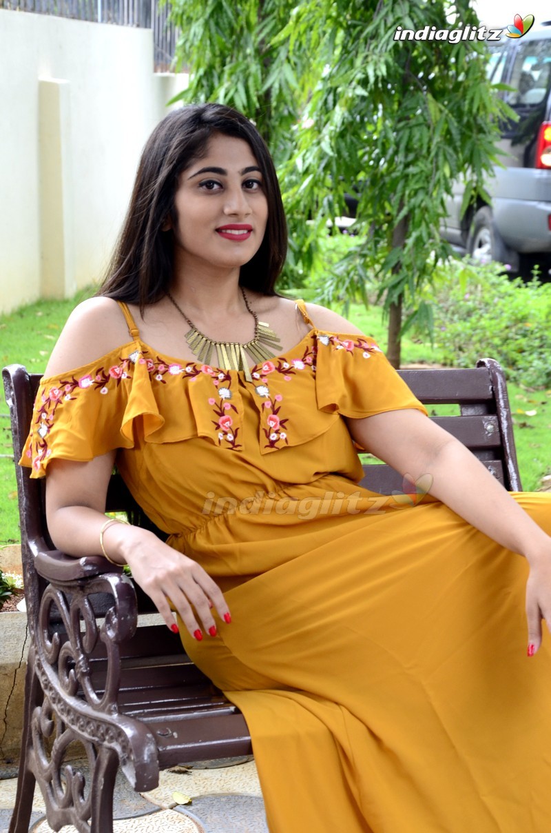 'Alanati Ramachandrudu' Press Meet