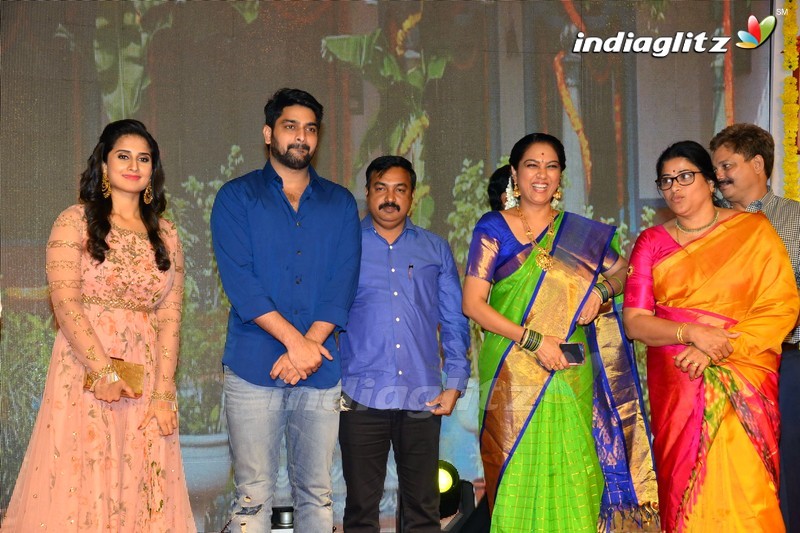 'Ammammagarillu' Pre - Release Function