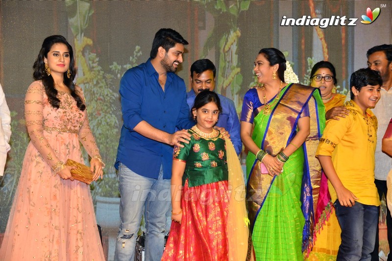 'Ammammagarillu' Pre - Release Function