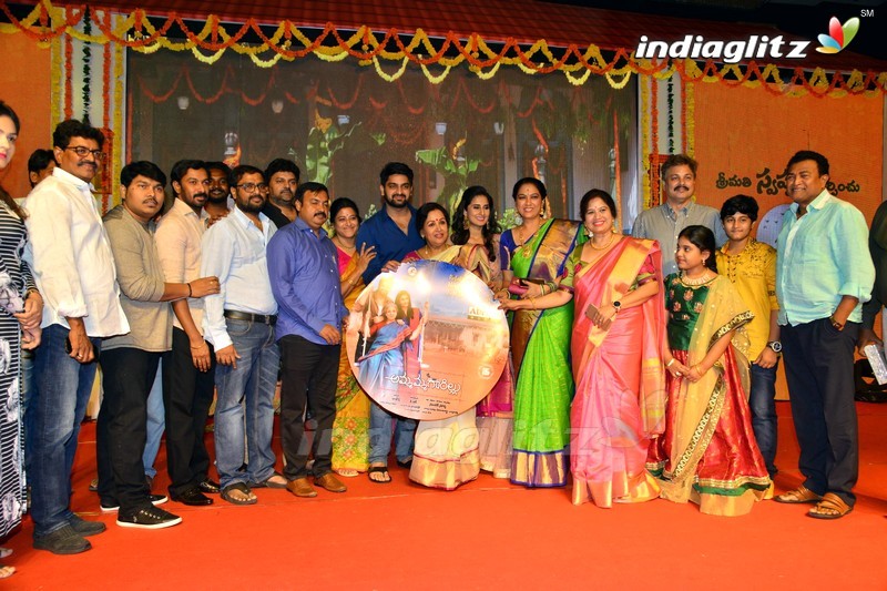 'Ammammagarillu' Pre - Release Function