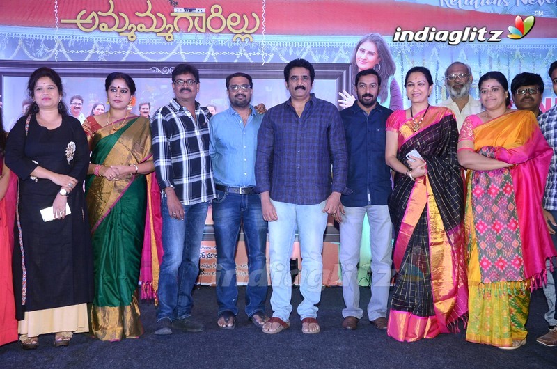 'Ammammagarillu' Success Meet