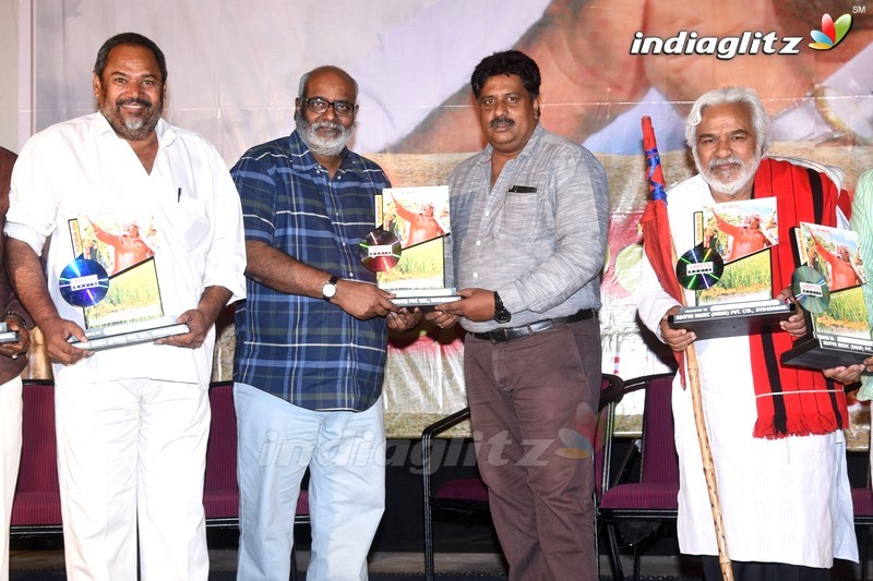 'Annadatha Sukibhava' Platinum Disc