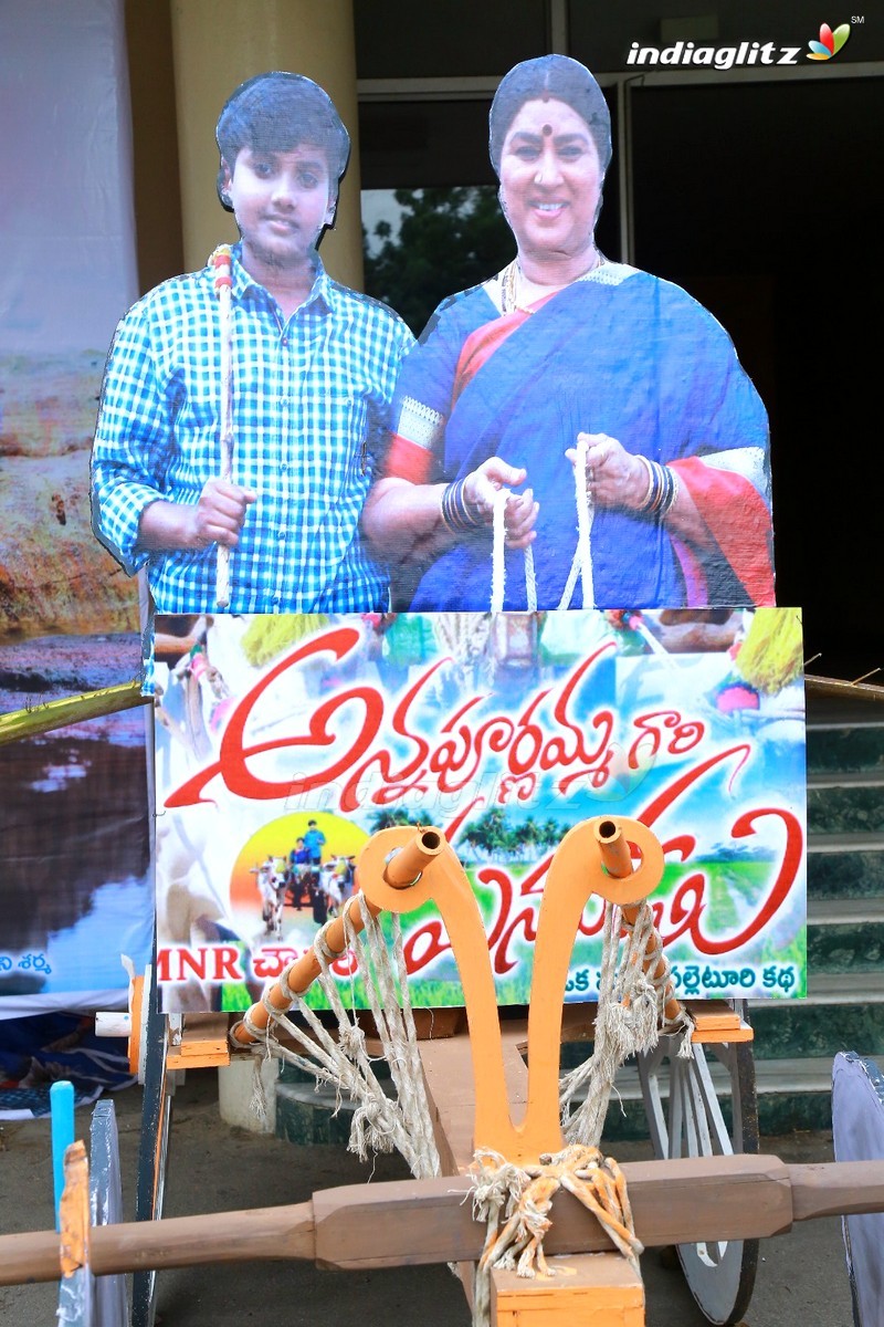 'Annapurnamma Manavadu' First Look Launch