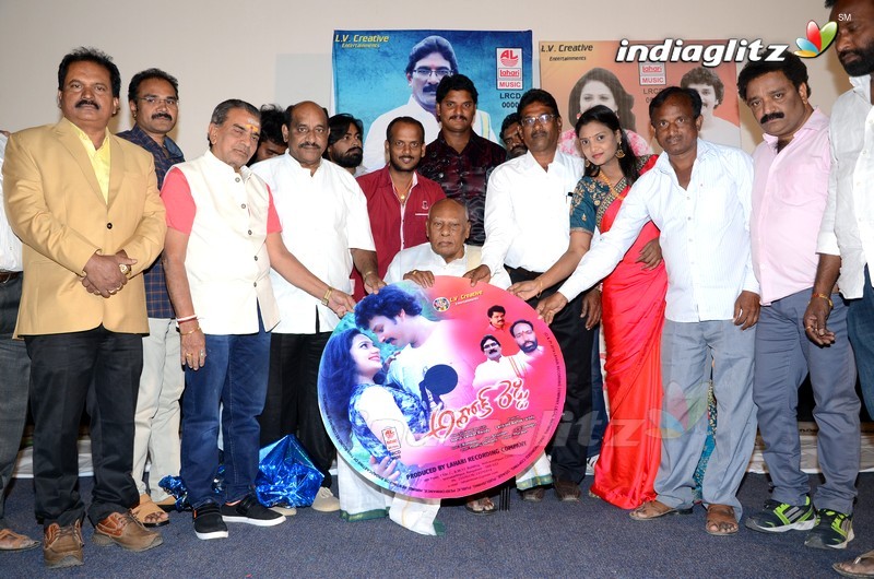 'Ashok Reddy' Audio Launch