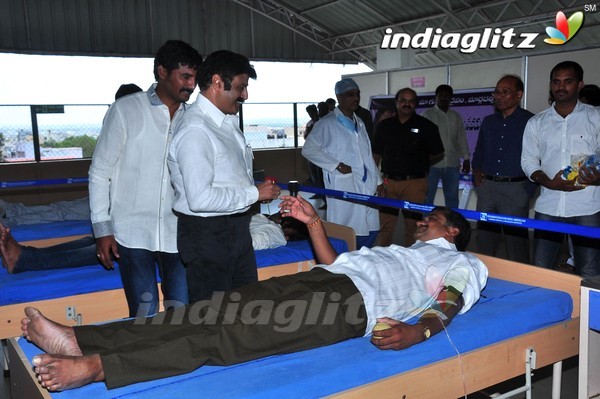 Balakrishna Birthday Celebrations At Basavatarakam Cancer Hospital