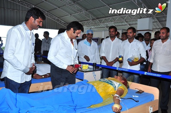 Balakrishna Birthday Celebrations At Basavatarakam Cancer Hospital