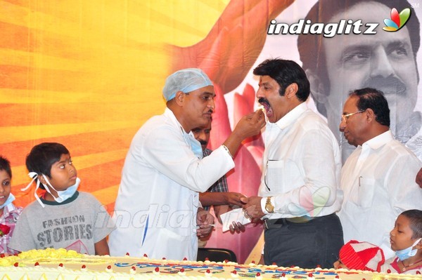 Balakrishna Birthday Celebrations At Basavatarakam Cancer Hospital