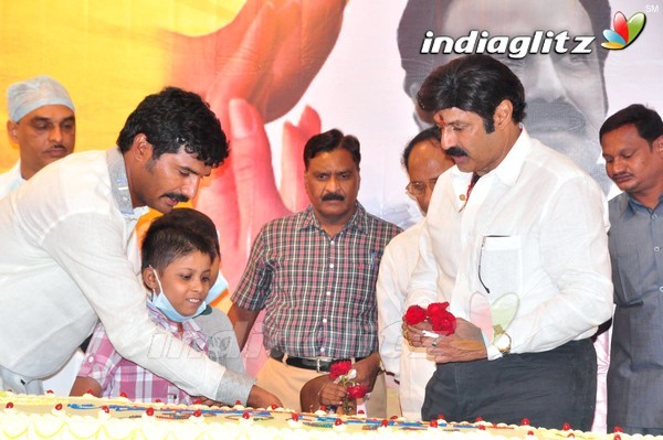 Balakrishna Birthday Celebrations At Basavatarakam Cancer Hospital