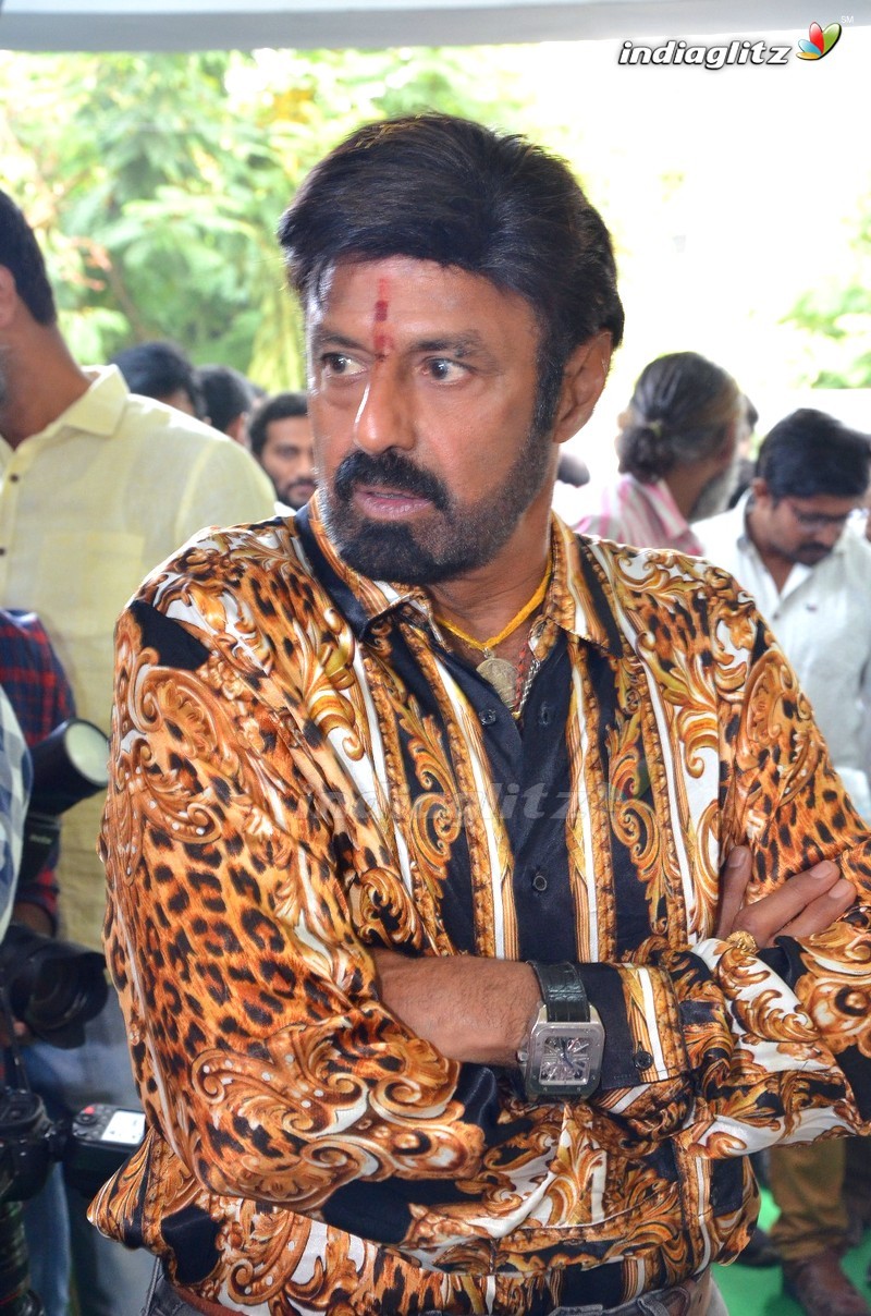 Balakrishna, Boyapati Srinu New Movie Launch