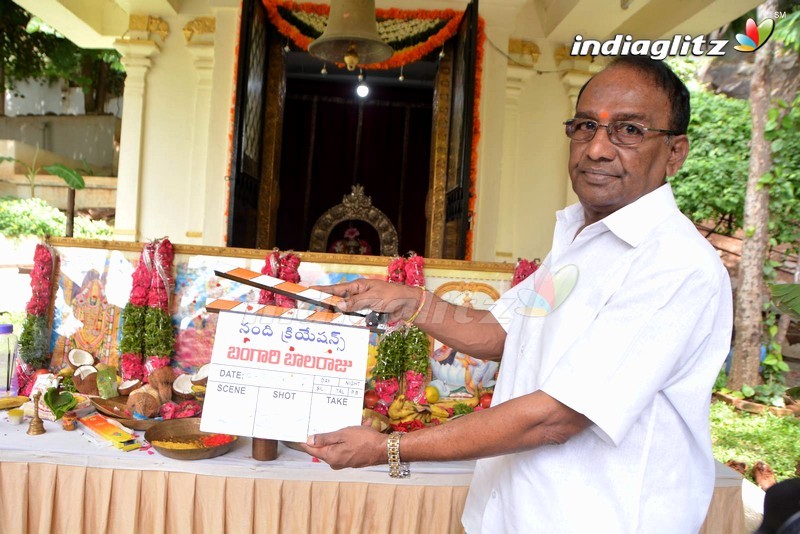 'Bangari Balaraju' Movie Launched