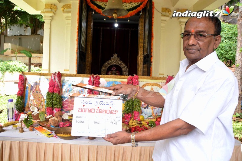 'Bangari Balaraju' Movie Launched