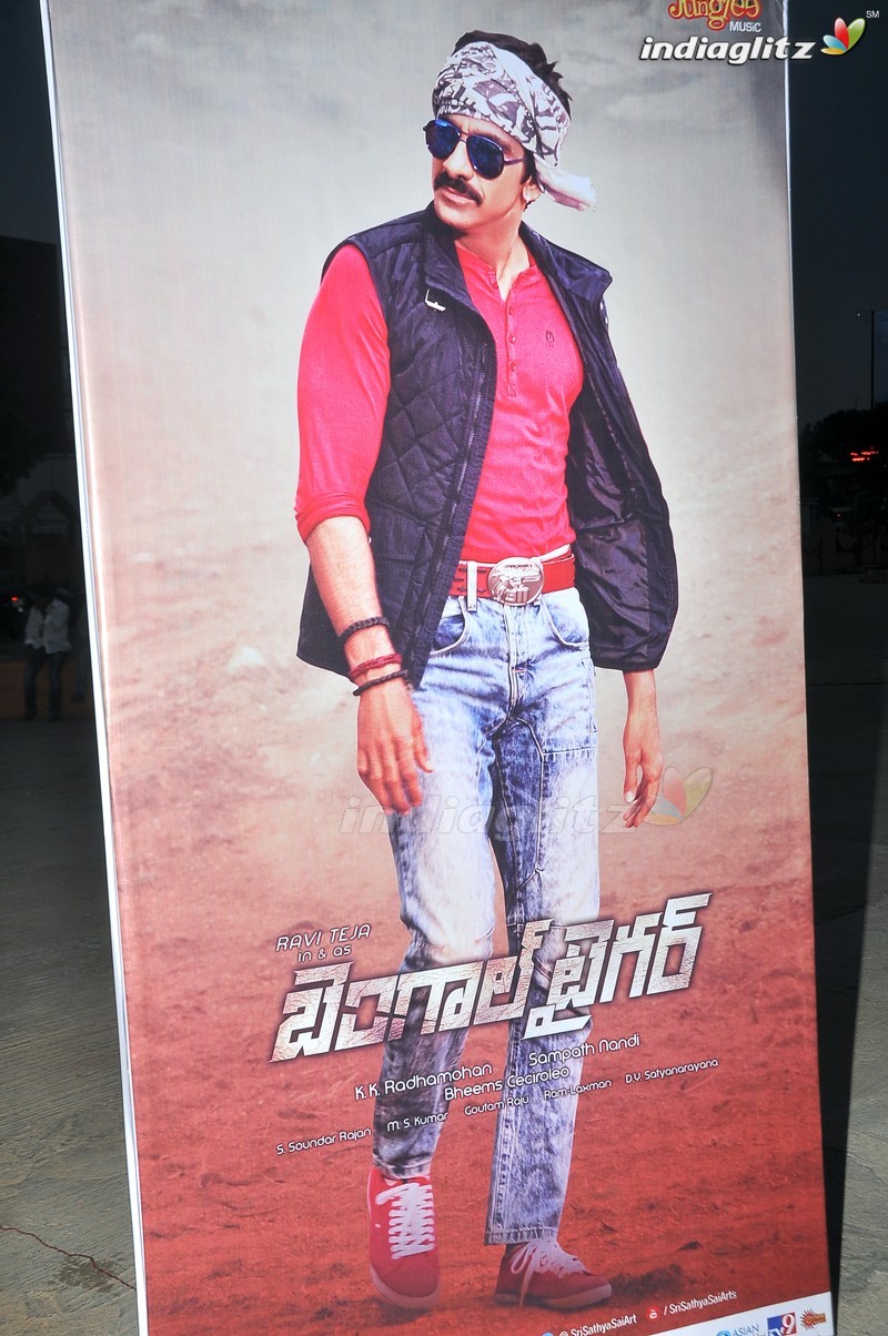 'Bengal Tiger' Audio Launch (Set-1)