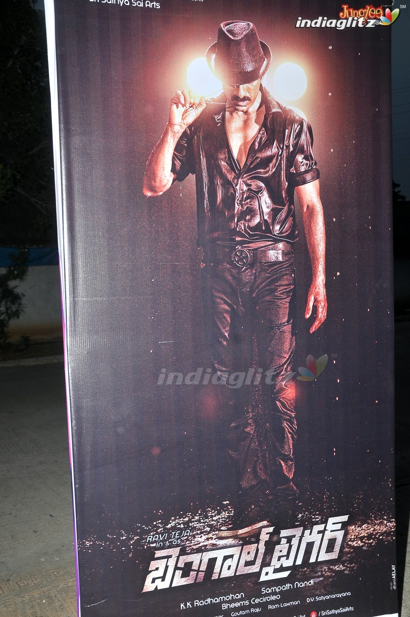 'Bengal Tiger' Audio Launch (Set-1)