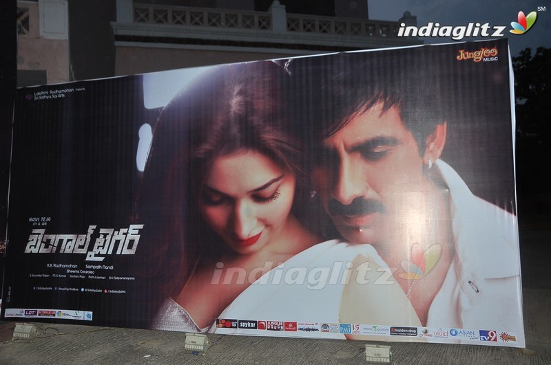 'Bengal Tiger' Audio Launch (Set-1)