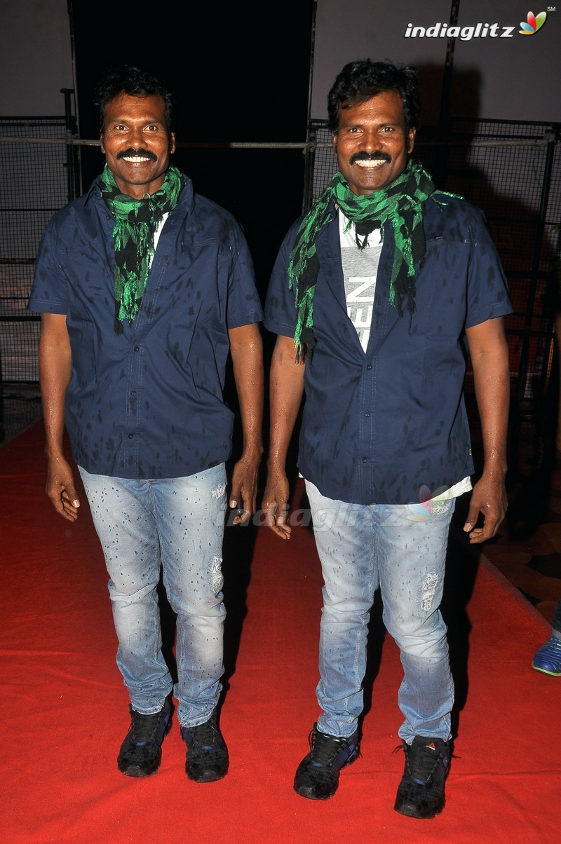 'Bengal Tiger' Audio Launch (Set-1)