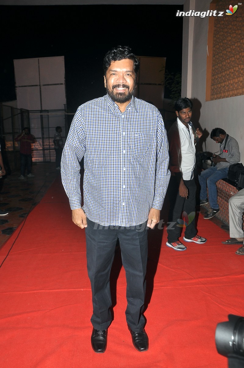 'Bengal Tiger' Audio Launch (Set-1)