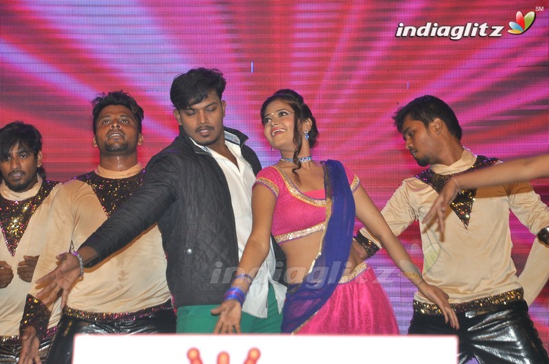 'Bengal Tiger' Audio Launch (Set-1)