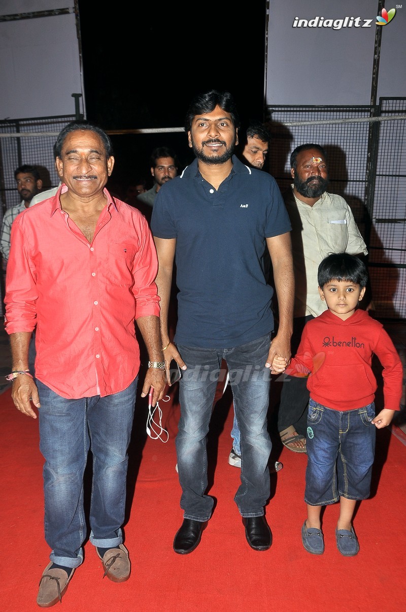 'Bengal Tiger' Audio Launch (Set-1)