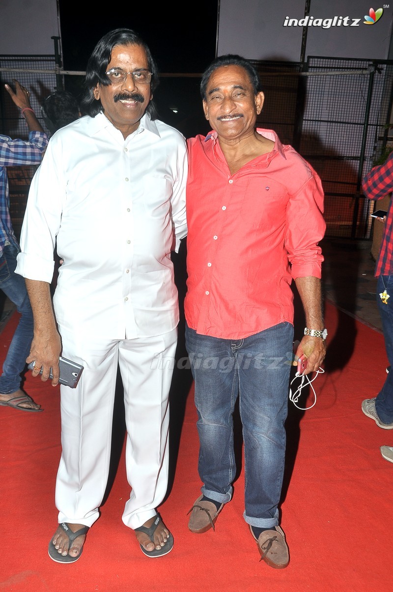 'Bengal Tiger' Audio Launch (Set-1)