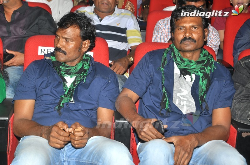 'Bengal Tiger' Audio Launch (Set-1)