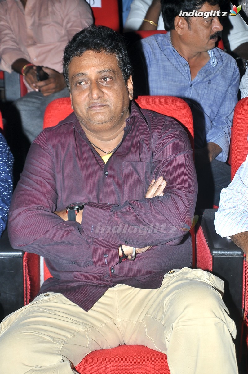 'Bengal Tiger' Audio Launch (Set-1)